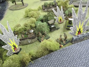 IMG_6181